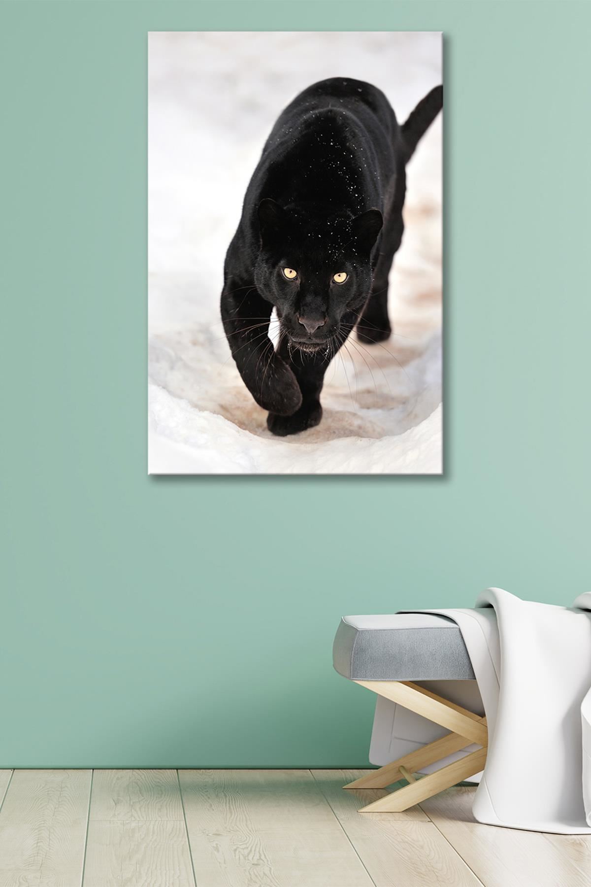 Karda Yürüyen Siyah Puma Kanvas Duvar Tablo 4452285