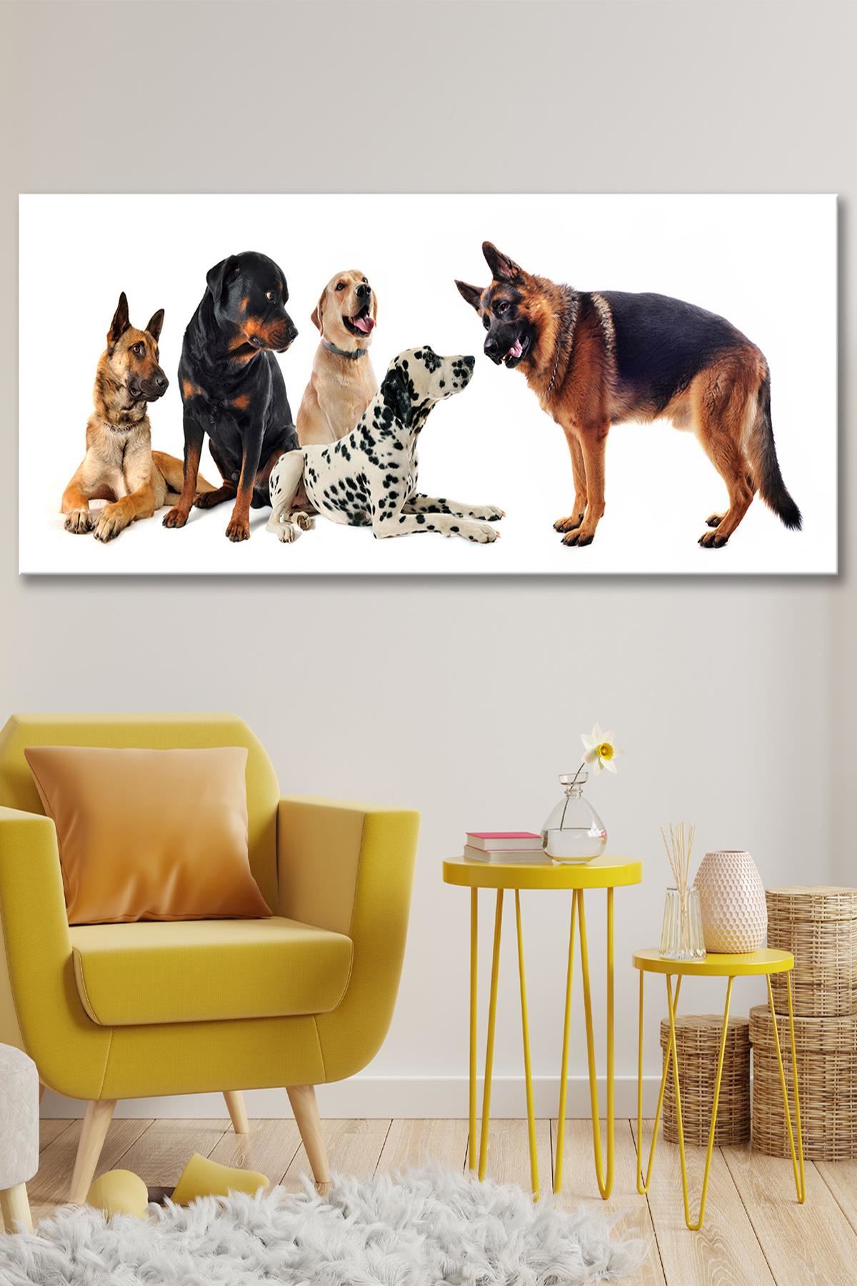 Beş Farklı Köpek Kanvas Duvar Tablo 4452402