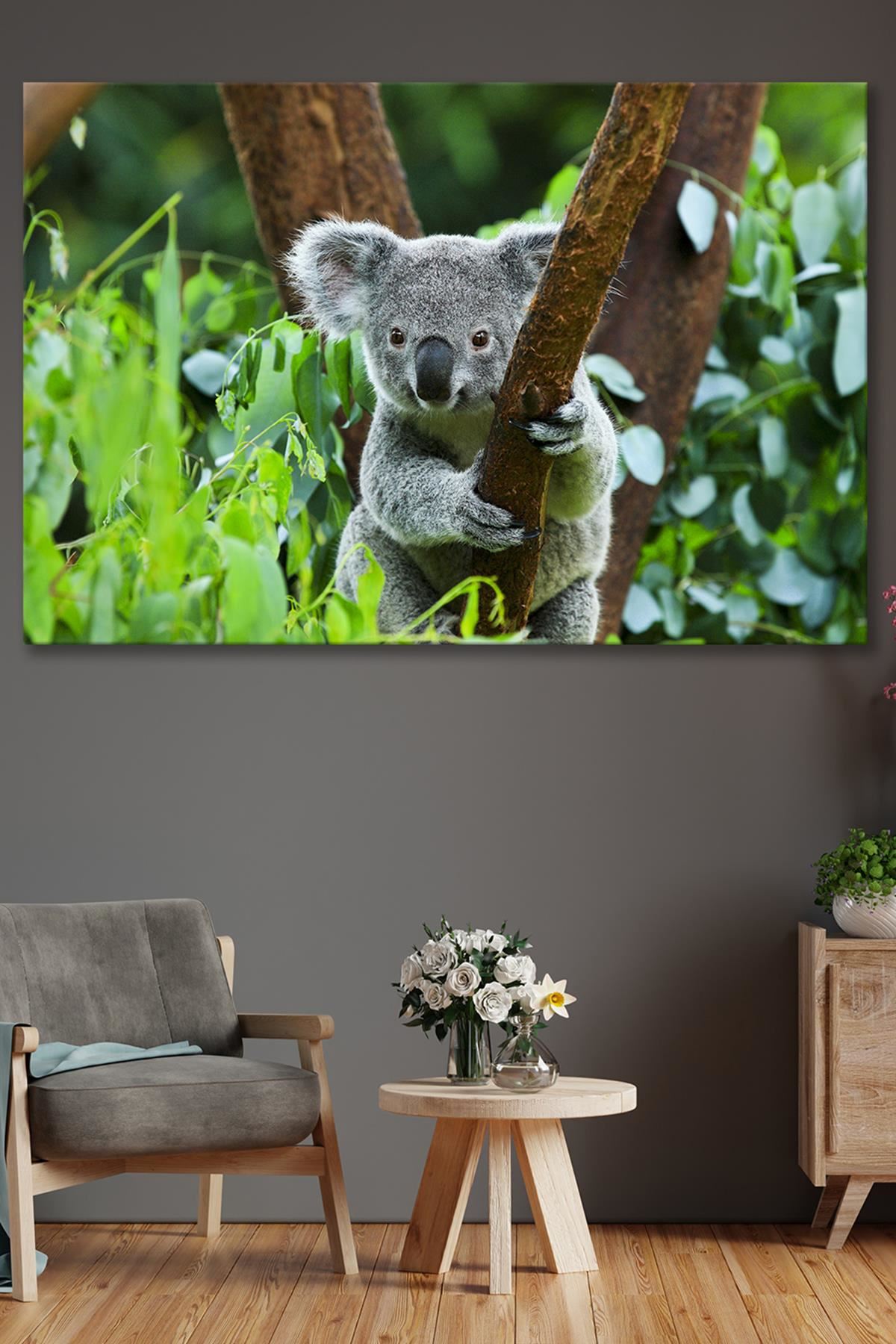 Ağaca Sarılmış Koala  Kanvas Duvar Tablo 4452184