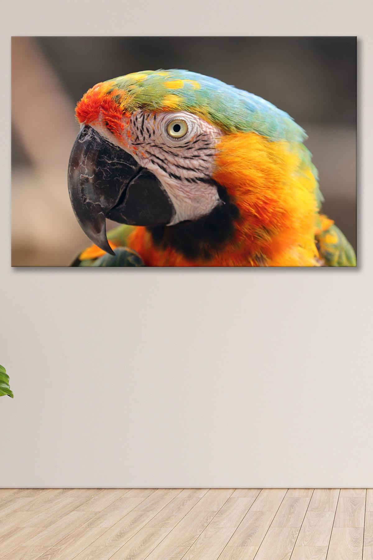 Renkli Papağan Kafası Kanvas Duvar Tablo 4452457