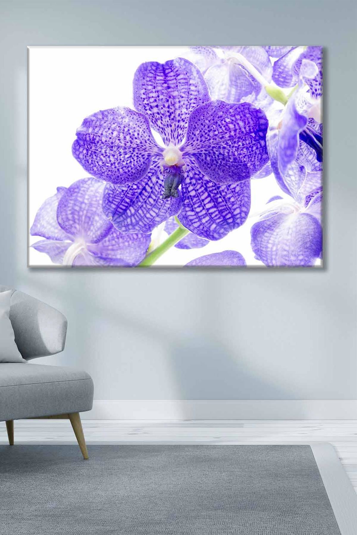 Anemon Çiçeği Mor Sulu Boya Efektli  Art Kanvas Tablo 2221824
