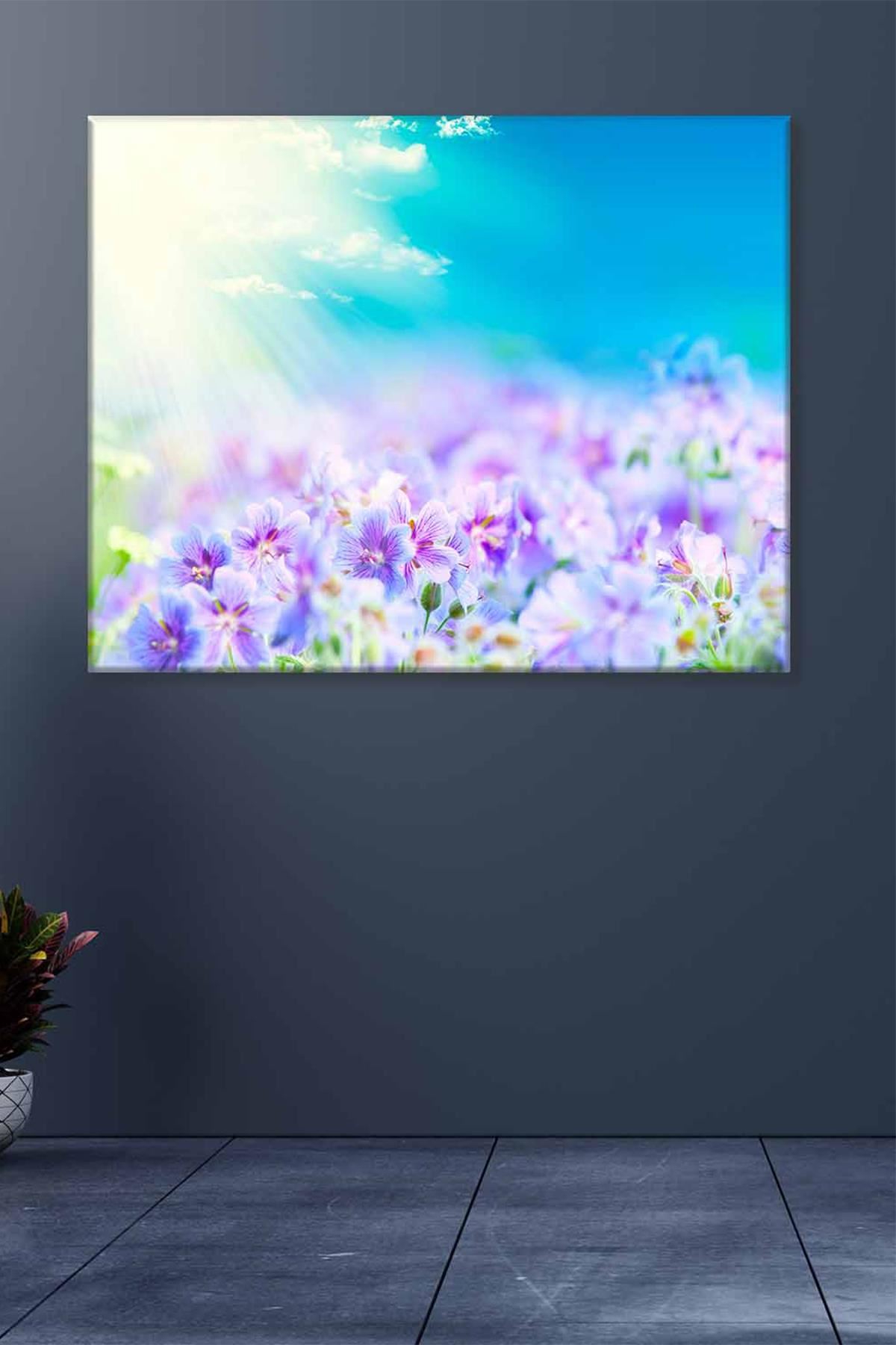 Güneş Işığında Mor Çiçekler Art Kanvas Tablo 2221821
