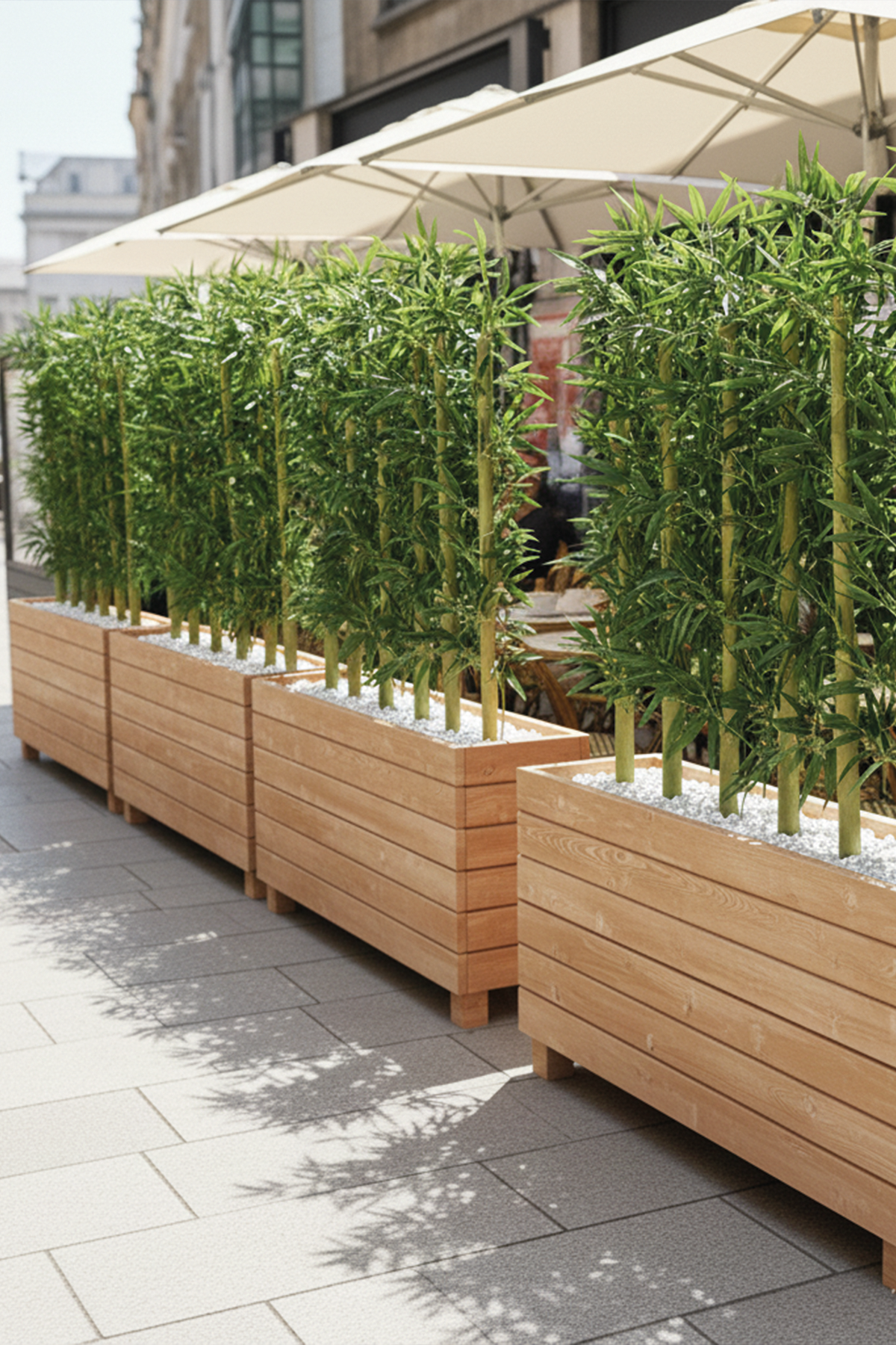 Ahşap Saksılı Dış Mekân Bambu Seperatör Naturel| Doğal Bambu Alan Ayırıcı