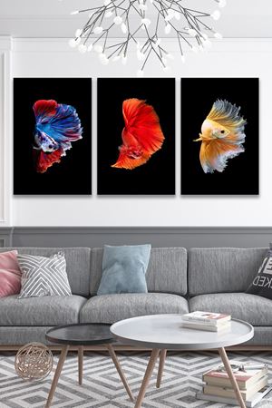 Renkli Balık Üç Parça Takım Kanvas Duvar Tablo 5521218