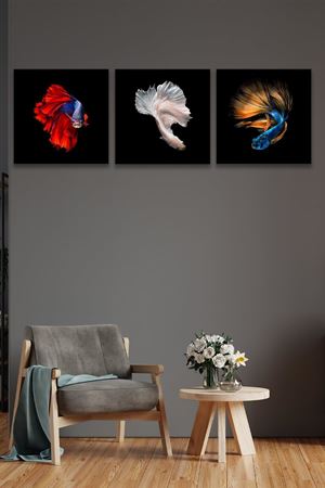 Mavi Beyaz Kırmızı Balık Üç Parça Takım Kanvas Duvar Tablo 5521220