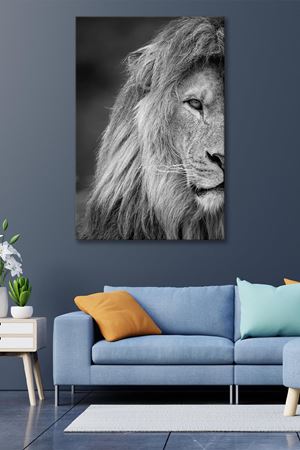 Gri Aslan Kafası Kanvas Duvar Tablo 4452418