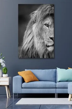 Gri Aslan Kafası Kanvas Duvar Tablo 4452418