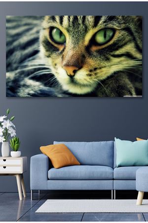 Yeşil Gözlü Kedi  Kanvas Duvar Tablo 4452442