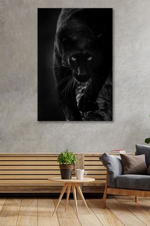 Parlak Gözlü Siyah Puma Kanvas Duvar Tablo 4452275