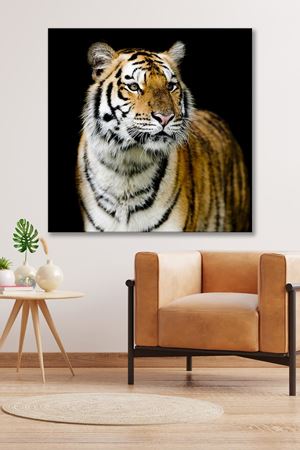 Asil Duran Kaplan  Kanvas Duvar Tablo 4452251