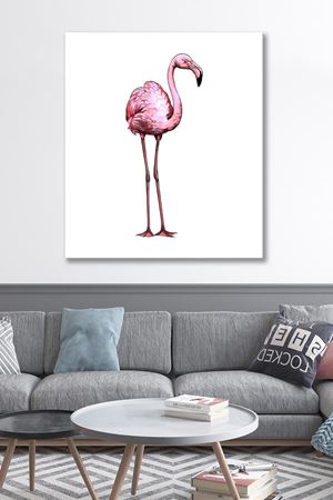 Beyaz Arka Planda Pelikan Kanvas Duvar Tablo 4452454