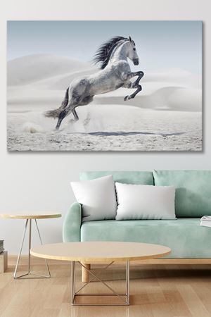 Beyaz Kumda Koşan Gri At Kanvas Duvar Tablo 4452249