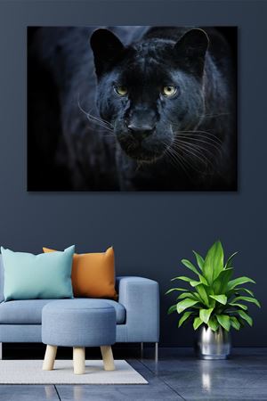 Avına Bakan Siyah Puma  Kanvas Duvar Tablo 4452440