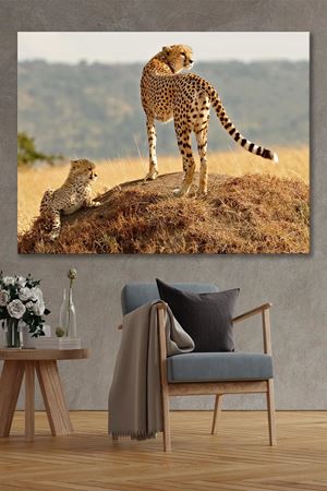 Çevreye Bakan Çitalar Kanvas Duvar Tablo 4452220