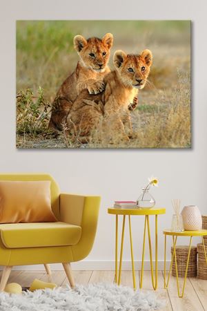 Çevreye Bakan Yavru Kaplanlar Kanvas Duvar Tablo 4452212