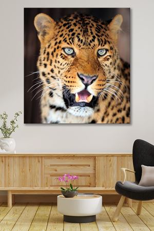 Avına Bakan Çita  Kanvas Duvar Tablo 4452206