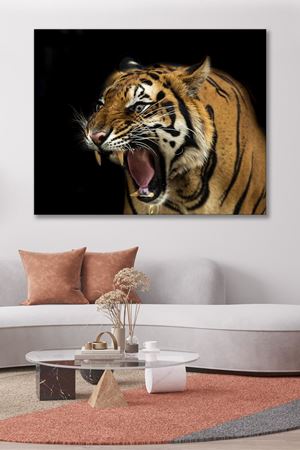 Avına Kükreyen Kaplan Kanvas Duvar Tablo 4452399