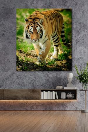 Kırsalda Gezinen Kaplan Kanvas Duvar Tablo 4452190