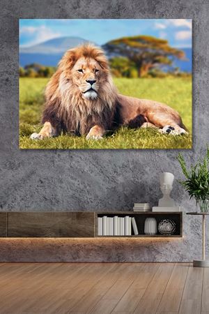 Kırsalda Yatan Aslan  Kanvas Duvar Tablo 4452237