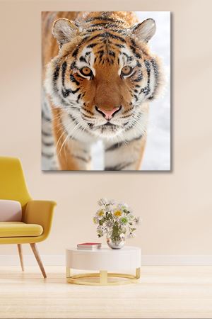 Karda Duran Kaplan Kanvas Duvar Tablo 4452215