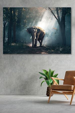 Ormanda Gezen Fil Kanvas Duvar Tablo 4452303