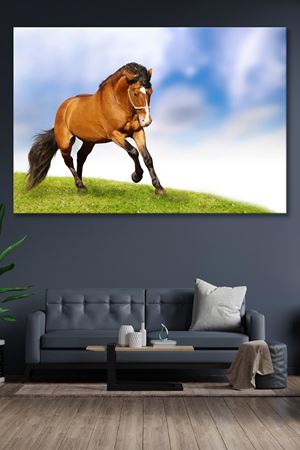 Kırsalda Koşan At  Kanvas Duvar Tablo 4452191