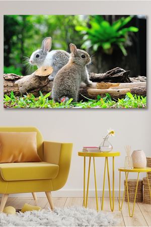Ormanda Bulunan İki Tavşan Kanvas Duvar Tablo 4452204