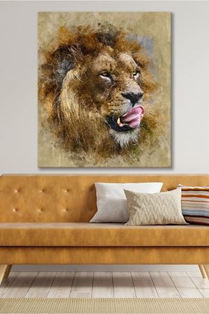 Dilini Çıkartan Aslan Çizimi Kanvas Duvar Tablo 4452314