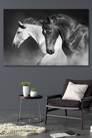 Siyah Beyaz İki At  Kanvas Duvar Tablo 4452331