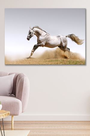 Kırsalda Koşan Beyaz At Kanvas Duvar Tablo 4452265