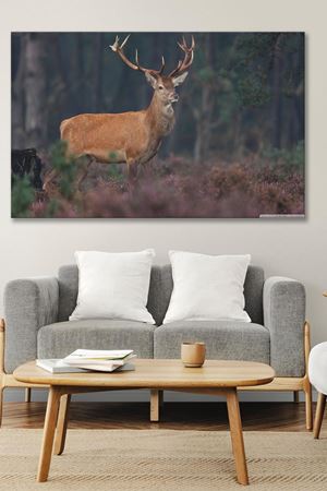 Ormanda Duran Geyik Kanvas Duvar Tablo 4452446