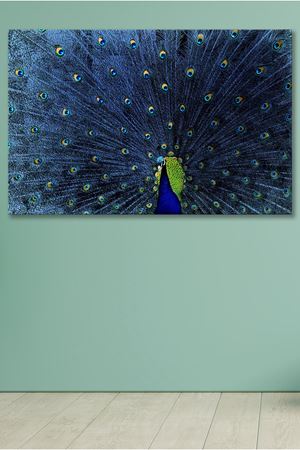 Mavi Tüylü Tavuskuşu Kanvas Duvar Tablo 4452162