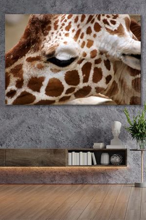 Gözü Kapalı Zürafa  Kanvas Duvar Tablo 4452286