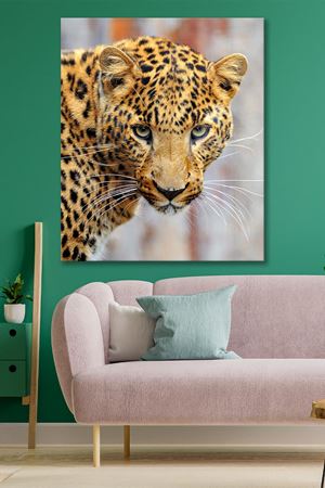 Kameraya Bakan Çita Kanvas Duvar Tablo 4452222