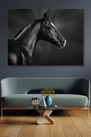 Sola Bakan Siyah At  Kanvas Duvar Tablo 4452452