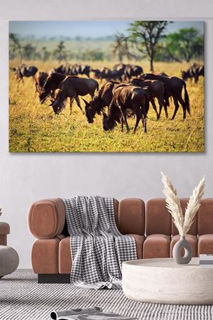 Kırsalda Otlanan Atlar Kanvas Duvar Tablo 4452306