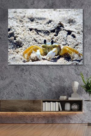 Kumda Yürüyen Yengeç Kanvas Duvar Tablo 4452334