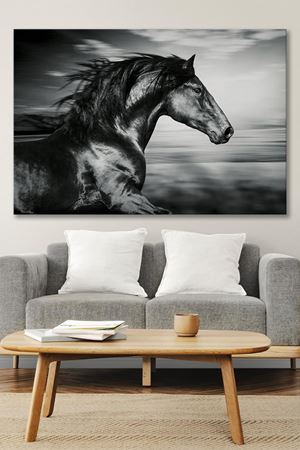 Siyah Beyaz At Kanvas Duvar Tablo 4452305