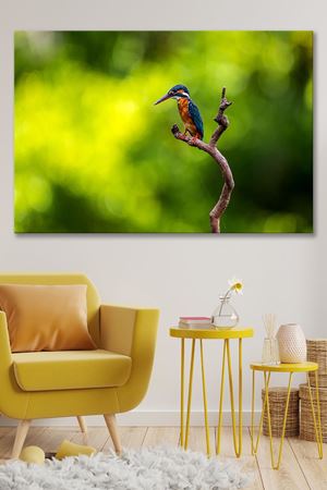 Dalın Üzerinde Duran Kuş  Kanvas Duvar Tablo 4452430