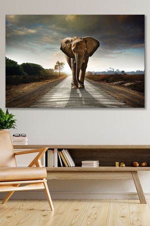 Yolda Yürüyen Fil Kanvas Duvar Tablo 4452170