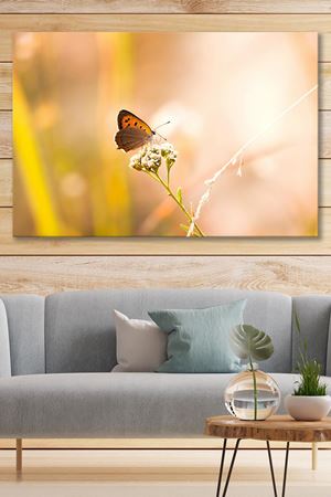 Tomurcuk Üzerinde Duran Kelebek Kanvas Duvar Tablo 4452163