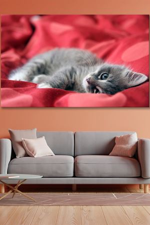 Yatakta Yatan Yavru Gri Kedi Kanvas Duvar Tablo 4452443