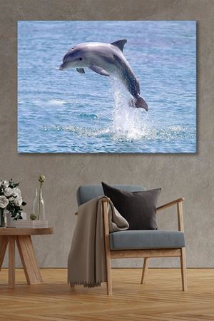 Zıplayan Yunus Kanvas Duvar Tablo 4452407