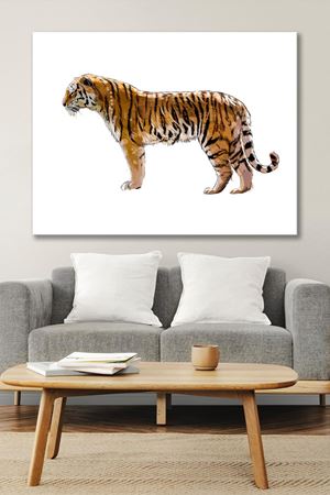 Yan Duran Kaplan Kanvas Duvar Tablo 4452318