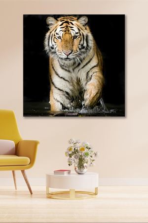 Suda Gezen Kaplan Kanvas Duvar Tablo 4452258