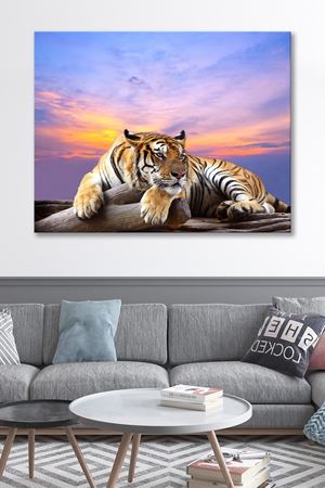 Taşın Üstünde Yatan Kaplan Kanvas Duvar Tablo 4452198