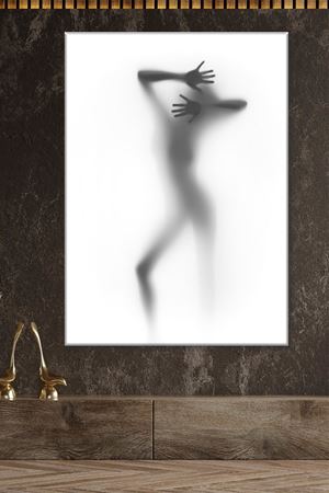 Sanatsal Gölge Kadın Duvar Kanvas Tablo 3322016