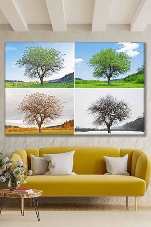 4 Mevsimde Büyüyen Ağaç Art Kanvas Tablo 2221825