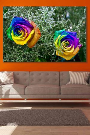 Aşkı Simgeleyen Gökkusağı Renkli Gül Art Kanvas Tablo 2221804