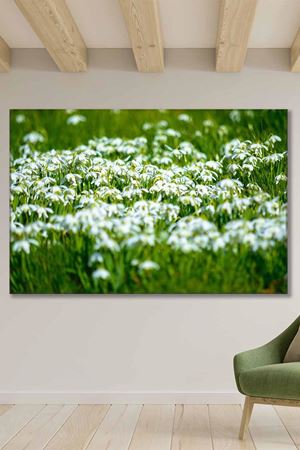 Beyaz Papatyalar Art Kanvas Tablo 2221910
